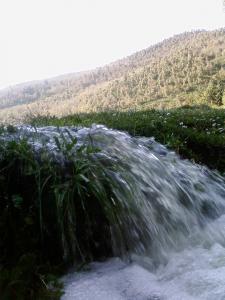 مجرى مائي في المرجة (بلدية حمالة) 1