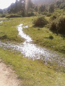 مجرى مائي في المرجة (بلدية حمالة) 3