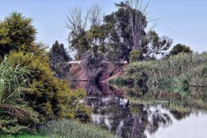 Oued Seybousse de Annaba