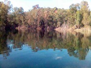 Le Lac Zerga à Annaba