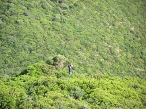 Les Vallées Vertes de Annaba