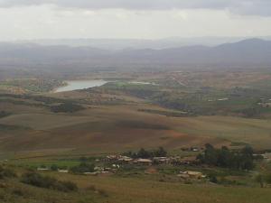 صورة من سد  لدغات