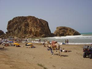 صورة لشاطئ  المسكاردة  ببلدية مرسى بن مهيدي