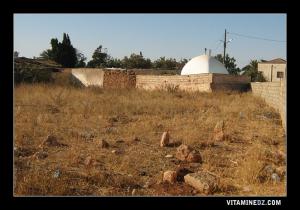 المقبرة العمومية لمدينة  المهڨون  على بعد 5 كم من بلدية  أرزيو  1