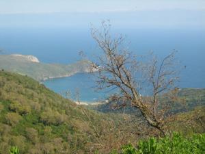 Vue sur la Côte Annabi