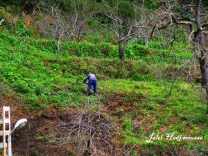 Le plus beau métier du monde (Annaba)