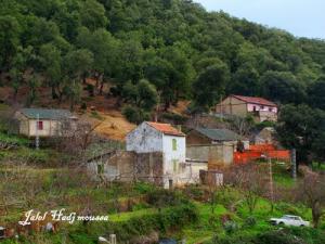 Vue de l'Edough (Wilaya de Annaba)