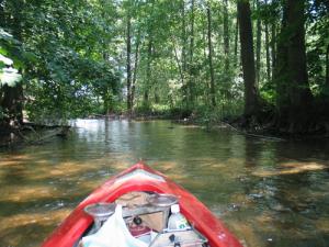 Un Lac dans la forêt de Annaba