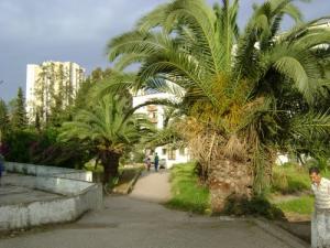 Vue sur les immeubles de Sidi Ammar