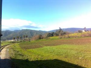 Train traversant les Champs Agricoles de Annaba