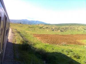 Sur le Chemin de Fer (Périphérie de Annaba)