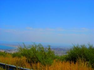 Verdure sur la Route de Serraidi