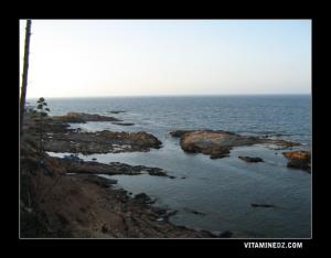 الشاطئ المكنى ب  دار الشلاڨ  أو  شاطئ صالح  ببلدية أرزيو