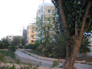 Vue sur la Cité El Batni (Centre ville de Guelma)