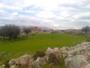 Les Vertes Prairies de Guelma