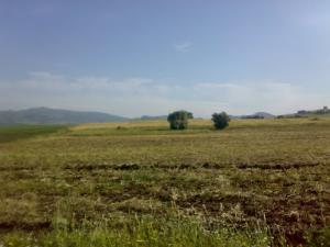 Vallée Seybousse aux alentours de Guelma