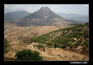 قرية  أولاد سيد الشيخ  و جبل  زندال  قرب  عربوز