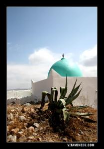 ضريح  سيدي داود  بضواحي قرية  أغرام   (بلدية مسيردة الفواقة)