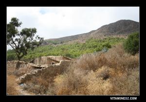 منازل قديمة بقرية  أغرام   (بلدية مسيردة الفواقة)