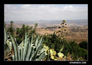 منظر لقرية  عزونة   (بلدية مسيردة الفواقة)