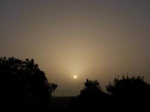 Lever du jour sur Guelma