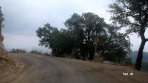 Sur les hauteurs de Maouna (Wilaya de Guelma)