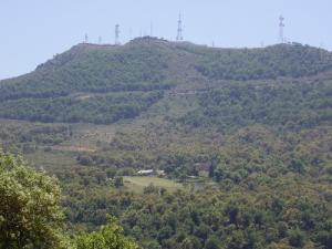 Les Forêts de Maouna (Wilaya de Guelma)