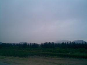 L'Entrée de Guelma (Les Jardin d'Oranges)