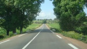 Une route sur la périphérie de Guelma