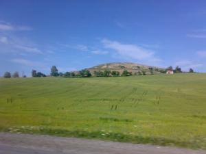 Verdure aux alentours de Guelma