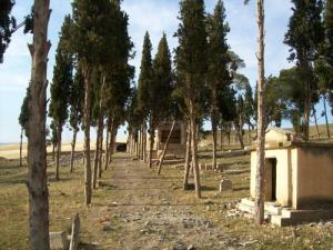 Cimetière Chrétien de Guelma