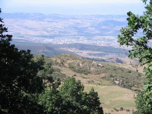 Région de Guelma vue de Mahouna