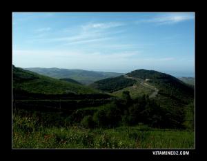 منظر طبيعي من ضواحي  بيدر