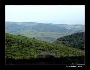 منظر طبيعي من ضواحي  بيدر  1