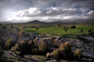 Verdure aux alentours de Guelma