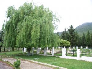 Stèle Commémorative de la Bataille de Mermoura (Guelma)