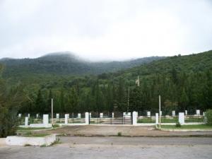 Les Vertes Forêts de Guelma