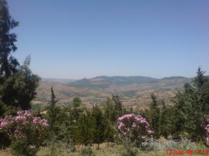 Vue d'ensemble sur la commune de Bou Hamdane