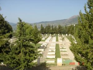 Cimetière de Mermoura, Bataille du 29 mai 1958