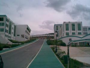 La Nouvelle Faculté des Langues et Lettres (Guelma)
