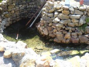 Complexe Thermal de Bouchahrine à Guelma