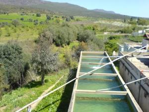 Hammâm Ouled Ali  (Périphérie de Guelma)