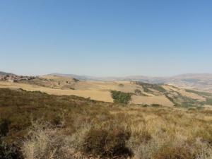 Paysage à l'Ouest de la Commune de Bendjerrah