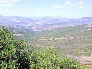 Paysage à l'Ouest de Bendjerrah