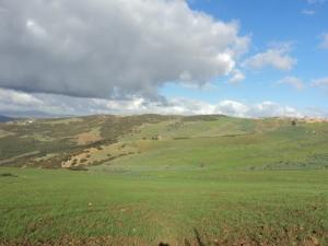 Paysage au Nord-Ouest de Benjerrah