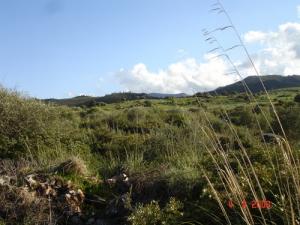 Paysage des Maquis de la Mahouna