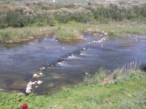 Un Petit cours d'eau dans la périphérie de Guelma
