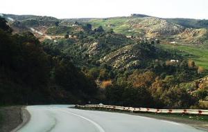 Route de Mechroha (Wilaya de Guelma)