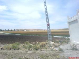 Champs Agricoles aux alentours de Salaoua Annoura