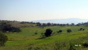 Paysage de Bouchegouf au Printemps